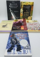 Lot of 6 Square Fish Paperback Books: Wrinkle in Time The Silver Branch Young Fu