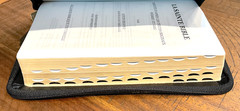 French Bible, La Sainte Bible – Segond 1910 Black Im Leather Zipper Red Letter