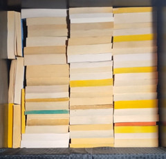 FICTION PAPERBACKS – BUILD YOUR OWN LOT Mystery | Fantasy | Science Fiction | Ho