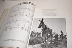 Rev. Gary Davis: The Holy Blues Robbins Music Corporation 1970