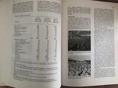 Livestock Feeds and Feeding – 1984 Paperback