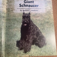 A Kennel Club Book Giant Schnauzer Comprehensive Guide To Owning And Caring For