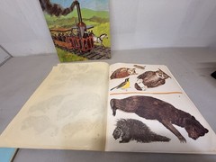 (2) Whitman Discover Trains & Discover Wildlife Sticker Fun Book Unused 1970s