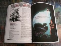 Villains’ Lorebook – Forgotten Realms – Dungeons & Dragons