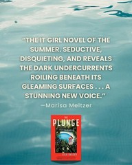 Plunge : A Novel by Lila Raicek (2026, Hardcover) BRAND NEW