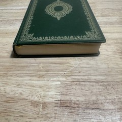 Old Curiosity Shop Charles Dickens 1970 Centennial Edition Illustrated Heron