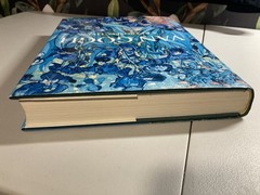 Van Gogh A Retrospective Edited By Susan Alyson Stein 1986 Park Lane HC/DJ