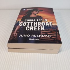 Lot of 2 Juno Rushdan Contemporary Cowboy Romance Harlequin Paperback Book