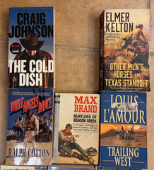 Lot of 17 Western Action Books ~ Johnstone + Zane Grey + L’Amoure + Max Brand ++