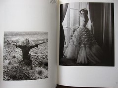 Zeitgeist Becomes Form German Fashion Photography 1945 – 1995 Exhibition Series