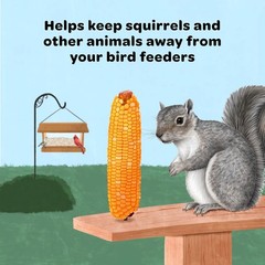 6.5 lb Organic Corn On The Cob – Stimulates Appetite and Attracts Wildlife!