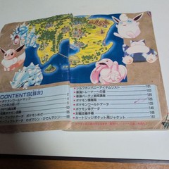 Pokemon Red Green Blue Strategy Guidebook 161 Pages Japanese Edition Maps