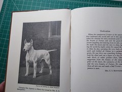 The Bull Terrier – a Comprehensive Treatise on the History, Management, etc…