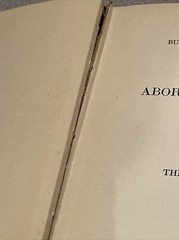 Aboriginal American Antiquities & Tribes Of The Tierra Bureau American Ethnology