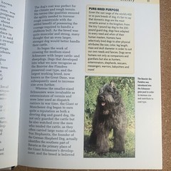 A Kennel Club Book Giant Schnauzer Comprehensive Guide To Owning And Caring For