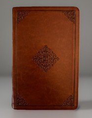 Bible (ESV) English Standard Version Large Print Value Thinline TruTone Tan New.