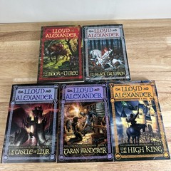 Chronicles of Prydain Box Set Lloyd Alexander 2012 Fantasy Adventure Square Fish