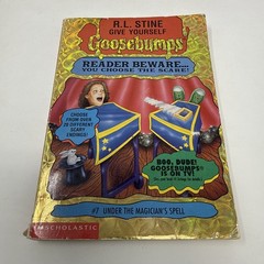 Lot of 12 VTG Goosebumps Scholastic Books 1990’s Paperbacks R L Stine Modern