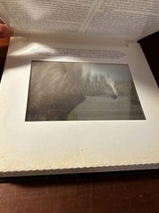 Photicular Ser.: Dinosaur : A Photicular Book by Kathy Wollard and Dan Kainen…