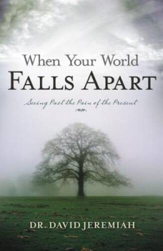 When Your World Falls Apart: See Past the Pain of the Present – VERY GOOD