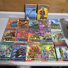 Animorphs Series K.A. Applegate Paperback Lot 17 Books VTG 90s Metamorphosis