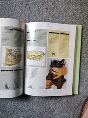 THE COMPLETE CAT BOOK By Paddy Cutts – Hardcover **BRAND NEW**