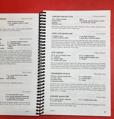 LAKE STATE FEDERAL CREDIT UNION FAVORITES COOKBOOK 8.5X6 INCHES MOOSE LAKE MINN.
