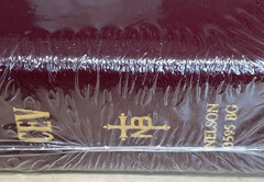 The Promise Holy Bible Study Edition 3595BG CEV Burgandy Bonded Leather New