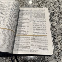 KJV King James Version Study Bible Holman Indigo (Blue) LeatherTouch Indexed