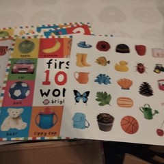 First 100 PB Box Set (5 Books) : First 100 Words; First 100 Animals; First…