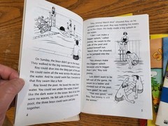 Lot of 44 Titles Harcourt Gr 4-5 Leveled Reader Books Homeschool Classroom Tutor
