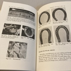 The Draft Horse Primer by Maurice Tellen 1977 Paperback 392 Pages