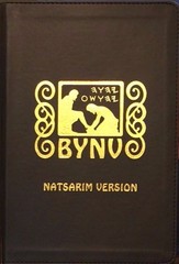 BYNV Deluxe Cover