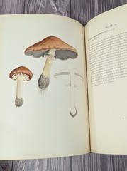 Icones Farlowianae – 1929 Farlow Fungi Mushrooms 103 Color Plates – Large Folio