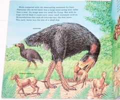 1978 Prehistoric Animals by Peter Zallinger Random House (PB)