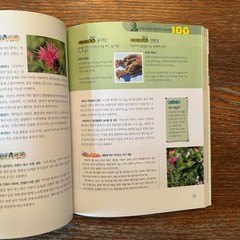 Traditional Korean Medicine by Kim Tae-Yeong 2003 Paperback Book VG