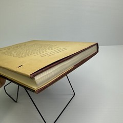 Rembrandt’s Aristotle & Other Rembrandt Studies Julius S Held 1969 Princeton Uni