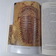 Darwin’s Doubt: Animal Life & Intelligent Design By Stephen C Meyer (2014 PB)