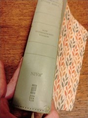 Zondervan NIV Cultural Backgrounds Study Bible Leathersoft Green