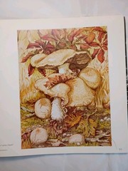 Plantae Occidental 1979 200 Years Of Botanical Art In British Columbia (658)