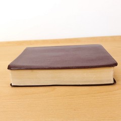 Zondervan The NIV Study Bible 10th Anniversary Edition 1995 Red Letter, Leather