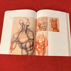 DYNAMIC ANATOMY: REVISED AND EXPANDED by Burne Hogarth—LIKE NEW