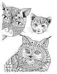Color the Cats Adult coloring book 108 Pages 8.5 x 11 for All Ages
