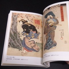 Picture Book of Cherry Blossoms SAKURA Namiki Seishi SEIGENSHA