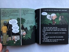 8 Books for 5-10 years old, fiction & non-fiction (5 very good, 3 good, clean)