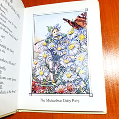 Flower Fairies of the Autumn Cicely Mary Barker 4×6″ Beautiful Art Color Plates