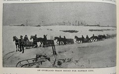 1898 Victorian Exploration Sea Travel Arctic Africa Tropics Safari Wild Animals