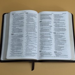 Holy Bible Compact Edition New Living Translation 2007 Tyndale House Leather Bro