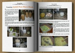 The Lost Super Foods – 126+ Survival Foods and Tips for Your Stockpile