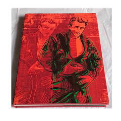 James Dean: American Icon by Dalton & Cayen (1984, Hardcover, St. Martin’s Pres…
